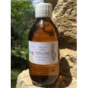 ha_plantain-lanceole