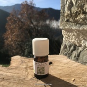 he_menthe-poivree