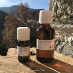 he_cypres-lusitanica