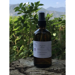 vaporisateur modèle 100ml N&P