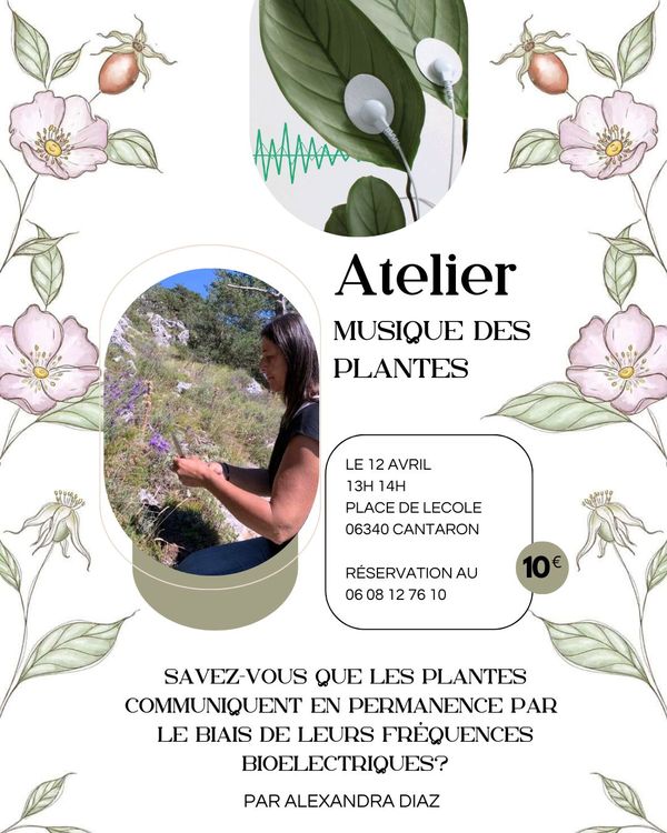 Fete de Cantaron 2026 7